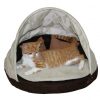Sleeping Shell Mahita
